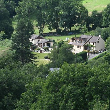 Ty Twt - Complete Holiday Home Llandysul Zewnętrze zdjęcie