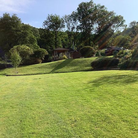 Ty Twt - Complete Holiday Home Llandysul Zewnętrze zdjęcie