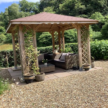 Ty Twt - Complete Holiday Home Llandysul Zewnętrze zdjęcie