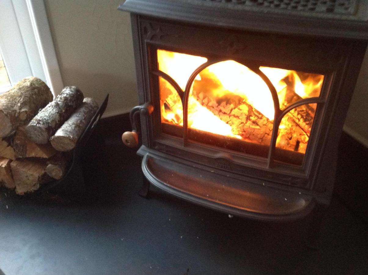 Ty Twt - Complete Holiday Home Llandysul Zewnętrze zdjęcie