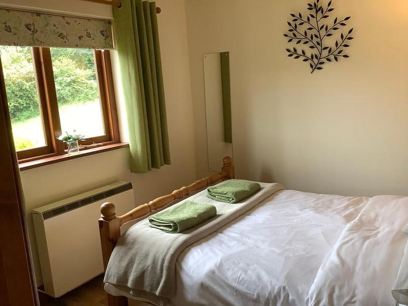 Ty Twt - Complete Holiday Home Llandysul Zewnętrze zdjęcie