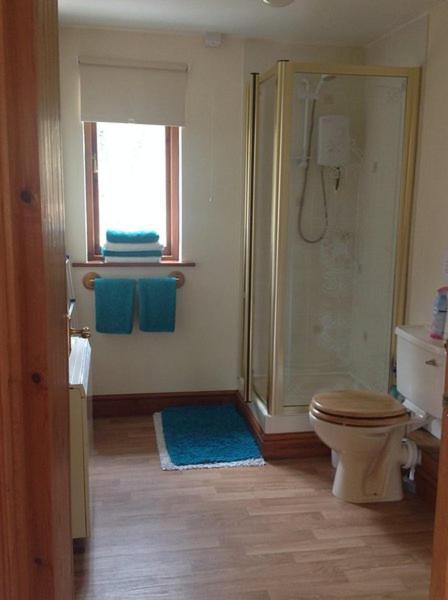 Ty Twt - Complete Holiday Home Llandysul Zewnętrze zdjęcie