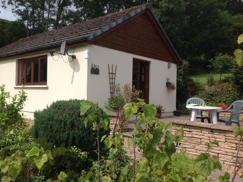 Ty Twt - Complete Holiday Home Llandysul Zewnętrze zdjęcie